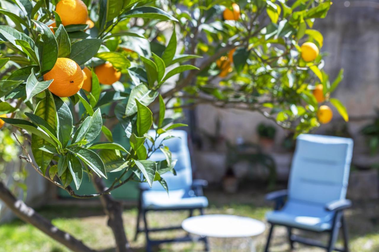 Bouganvillea Apartamento Puerto de Sóller