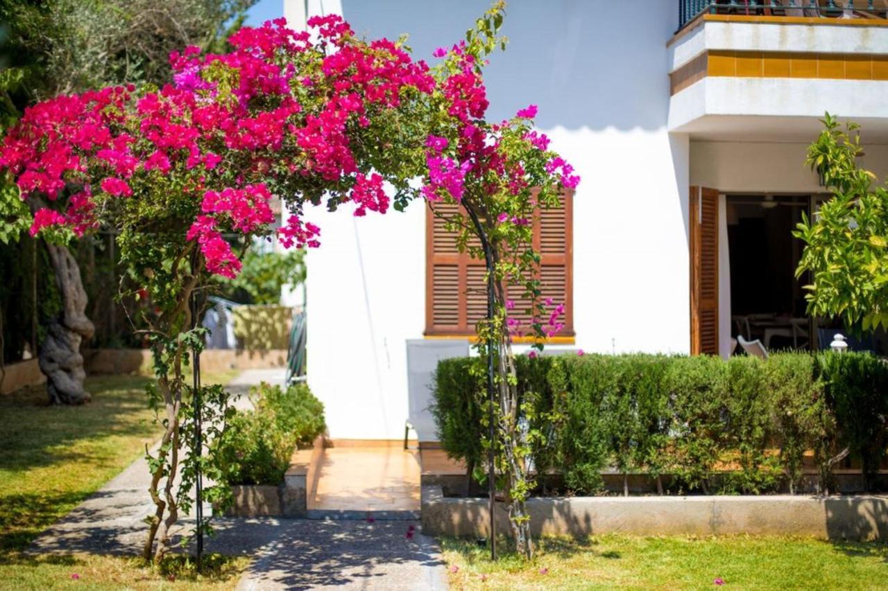 Bouganvillea * Puerto de Sóller
